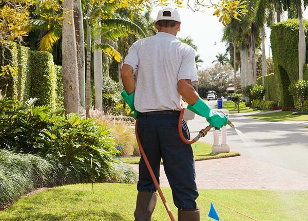 About Goodview VA Pest Control